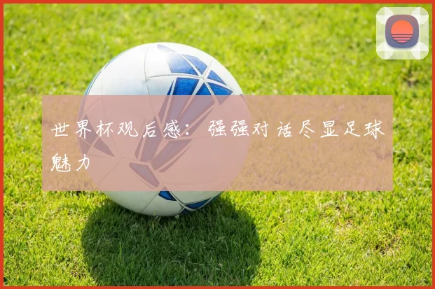 世界杯观后感：强强对话尽显足球魅力
