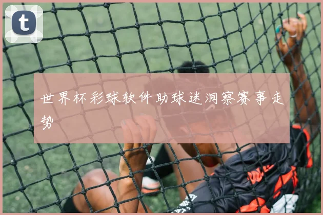 世界杯彩球软件助球迷洞察赛事走势