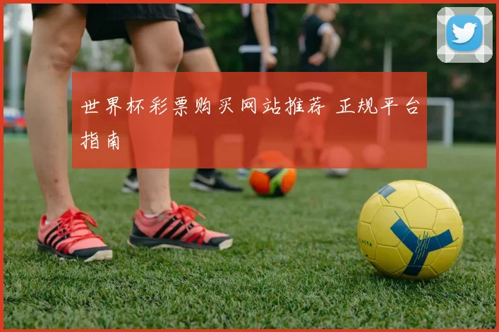 世界杯彩票购买网站推荐 正规平台指南