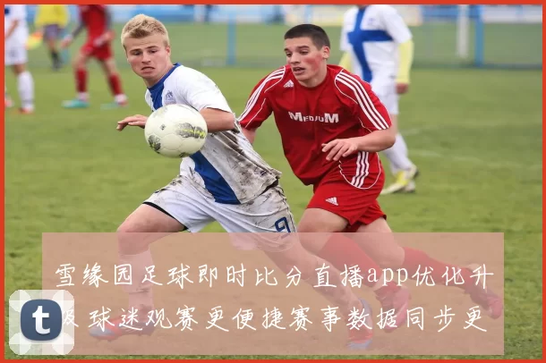 雪缘园足球即时比分直播app优化升级 球迷观赛更便捷赛事数据同步更快