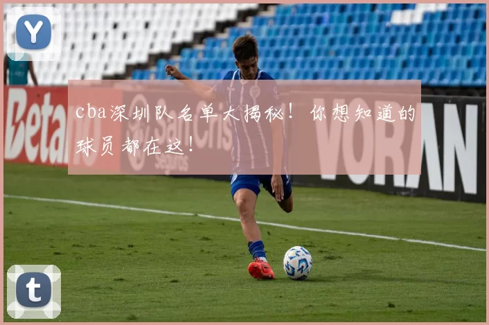 cba深圳队名单大揭秘！你想知道的球员都在这！