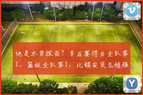 他是水货探花？季后赛得分全队第1，篮板全队第1，比锡安莫兰特强多了