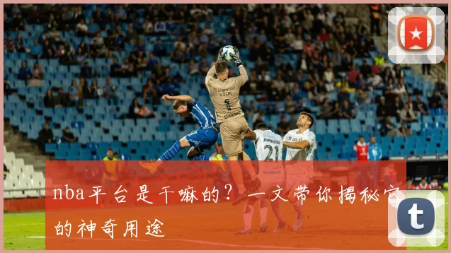 nba平台是干嘛的？一文带你揭秘它的神奇用途