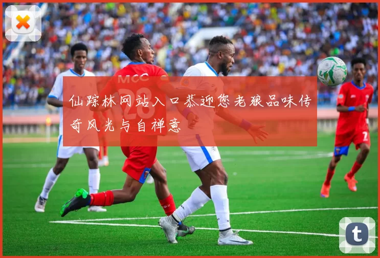 仙踪林网站入口恭迎您老狼品味传奇风光与自禅意