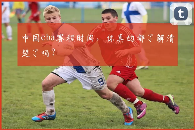 中国cba赛程时间，你真的都了解清楚了吗？